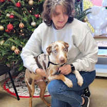 Thumbnail photo of Ziggy #1