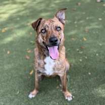 Thumbnail photo of Saint #2