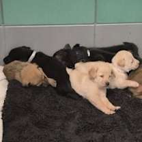 Thumbnail photo of Agnewe / Daleyza #3