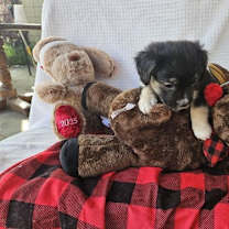 Thumbnail photo of Pumpkin #3