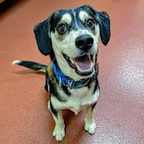 Thumbnail photo of Linus #1