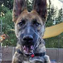 Thumbnail photo of Sorcha - located in WA #1