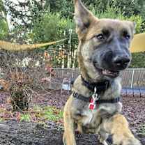 Thumbnail photo of Sorcha - located in WA #2