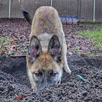 Thumbnail photo of Sorcha - located in WA #3