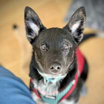 Thumbnail photo of Eugene #1