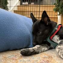 Thumbnail photo of Eugene #2