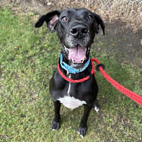 Thumbnail photo of Maevis #3