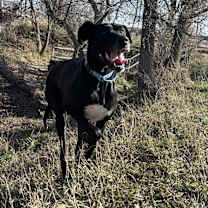 Thumbnail photo of Maevis #4