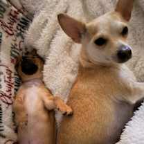 Thumbnail photo of Lizzie #3