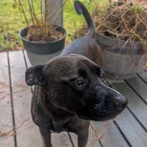 Thumbnail photo of Sarah Jessica Barker #2