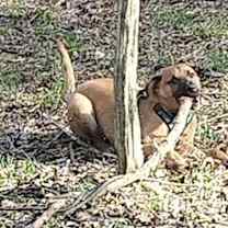 Thumbnail photo of Mikey (aka Baby Mike) #4