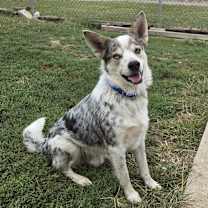 Thumbnail photo of 0975 Bently #3