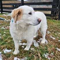 Thumbnail photo of Gigi #3