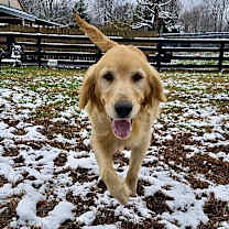 Thumbnail photo of Lucy James #7332 #1