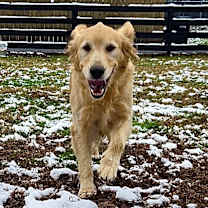 Thumbnail photo of Lucy James #7332 #3