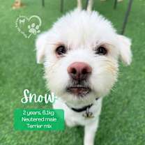 Thumbnail photo of Snow #1