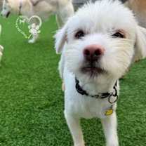 Thumbnail photo of Snow #3