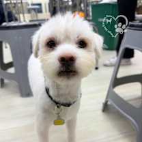 Thumbnail photo of Snow #4