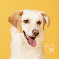 Thumbnail photo of Avon #3