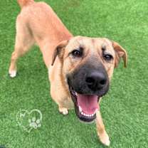 Thumbnail photo of Pearl #2