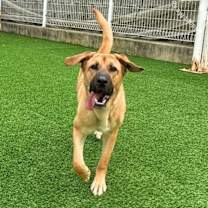 Thumbnail photo of Pearl #3