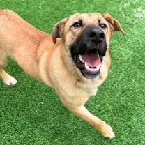 Thumbnail photo of Pearl #4