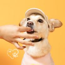 Thumbnail photo of Avon-Adopted!!! #2