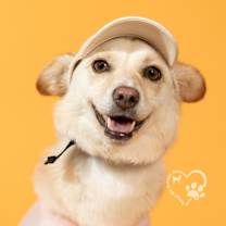 Thumbnail photo of Avon-Adopted!!! #4