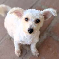 Thumbnail photo of JIMBE #2