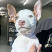 Thumbnail photo of Caroline #1