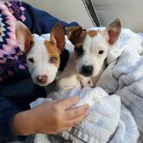 Thumbnail photo of Caroline #2