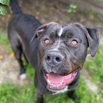 Thumbnail photo of Ru #3