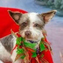 Thumbnail photo of Merry D5277 #2