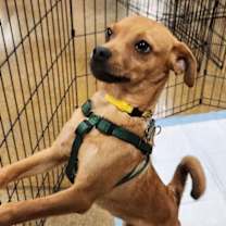 Thumbnail photo of Malcom #3