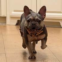 Thumbnail photo of Queenie #3