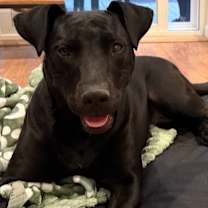 Thumbnail photo of Montana #1