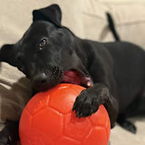 Thumbnail photo of Montana #2