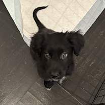 Thumbnail photo of Cece #3