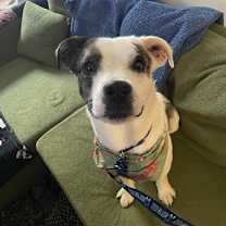 Thumbnail photo of Tony #1