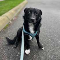 Thumbnail photo of Sprout #2