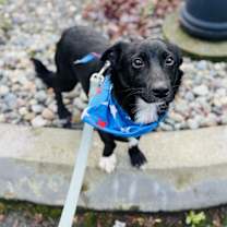 Thumbnail photo of Sprout #3