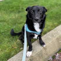 Thumbnail photo of Sprout #4