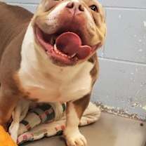 Thumbnail photo of Greta #4