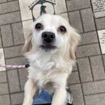 Thumbnail photo of Khloe #3