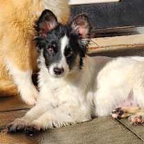 Thumbnail photo of Gigawatt #3