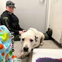 Thumbnail photo of Nyla #3