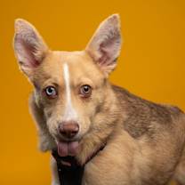 Thumbnail photo of Lady Mae #1