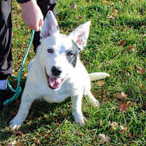 Thumbnail photo of Zeus #1