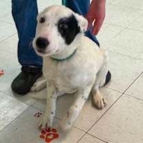 Thumbnail photo of Zeus #2