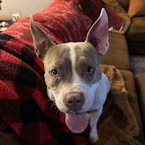 Thumbnail photo of Prairie #3